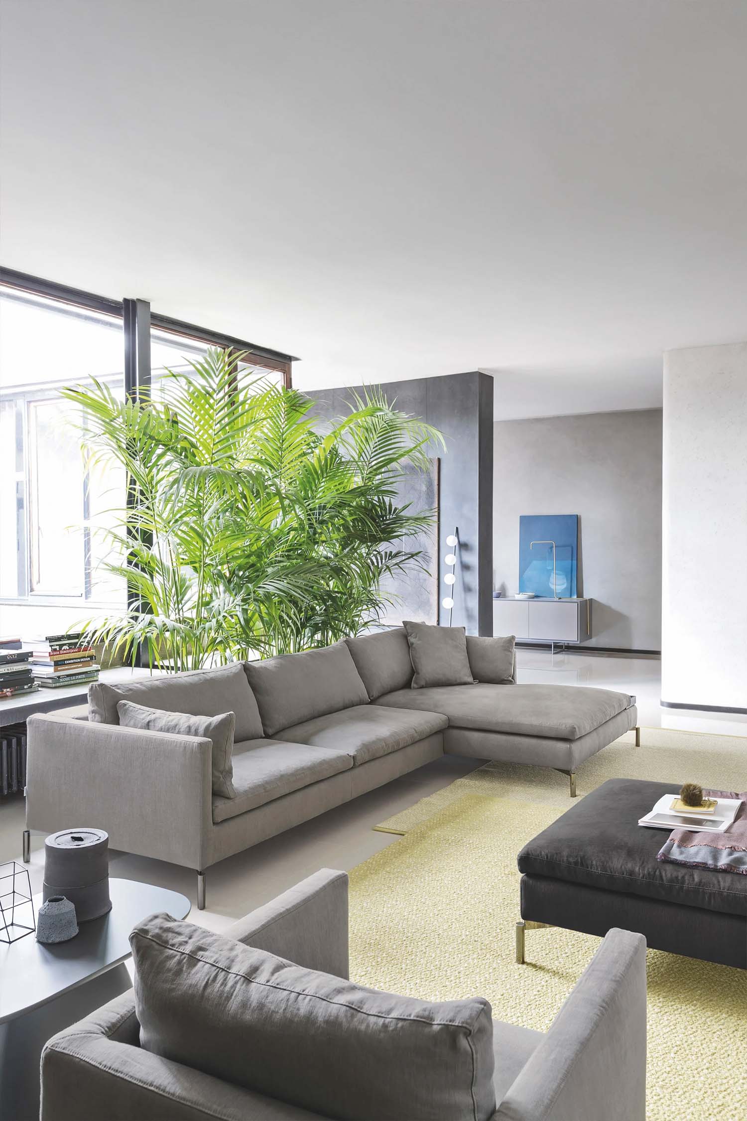 A modern living room featuring a large, gray L-shaped sectional sofa on a yellow rug. In the background, there is a large plant, a dark gray wall, and a light-colored sideboard.