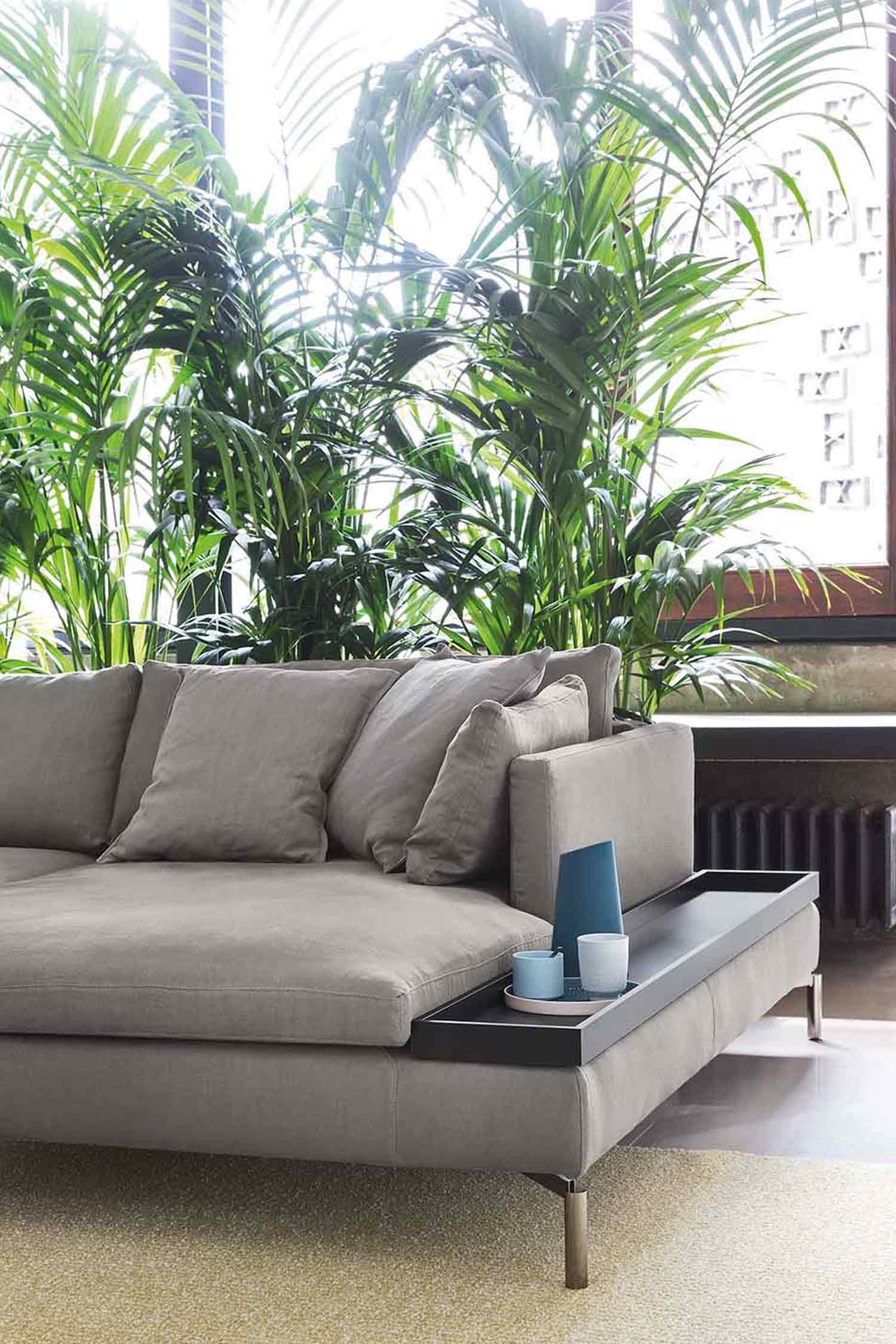 A detailed shot of a modern, gray sectional sofa with a dark gray armrest tray holding a blue vase and two white cups, with large green plants and a sunlit window in the background.